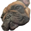 isaac_1112